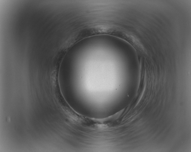 X0000071800509200606301204