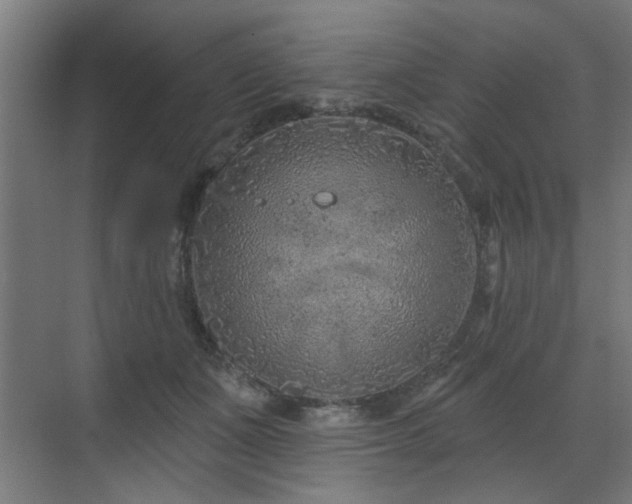 X0000071800511200606301204