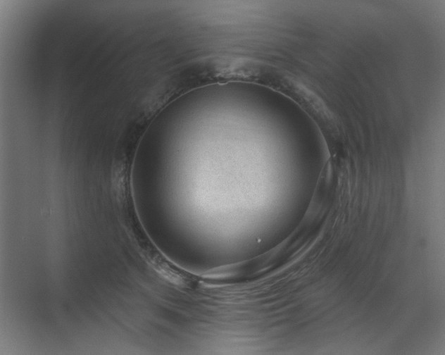 X0000071800513200606301204