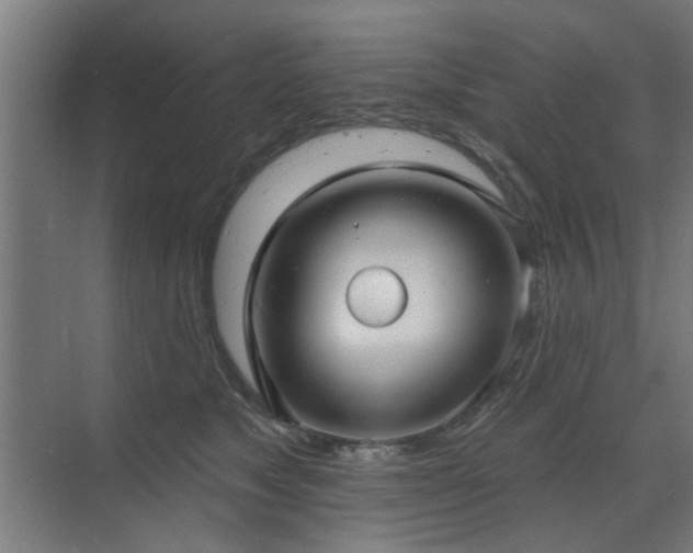 X0000071800517200606301204