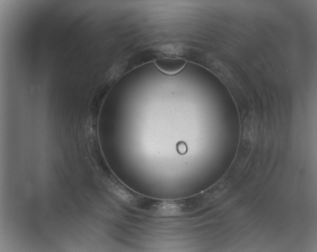 X0000071800518200606301204