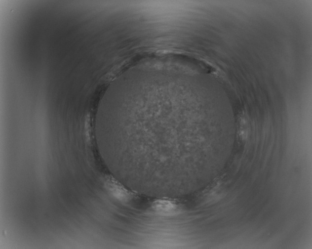 X0000071800519200606301204