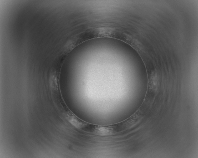 X0000071800522200606301204