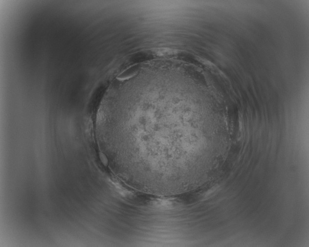 X0000071800523200606301204