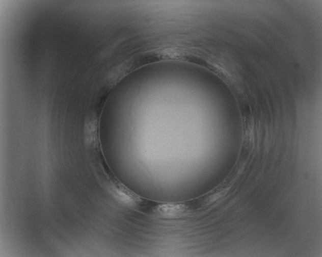 X0000071800526200606301204