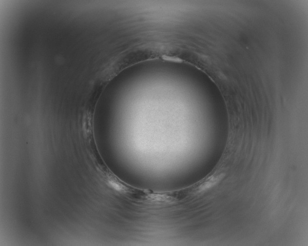 X0000071800528200606301204