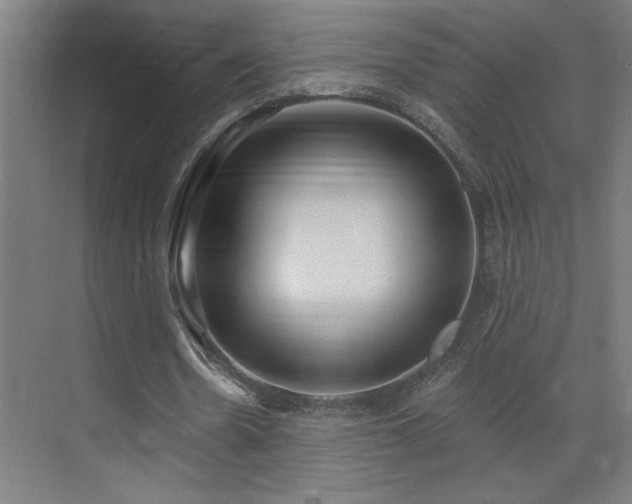 X0000071800530200606301203