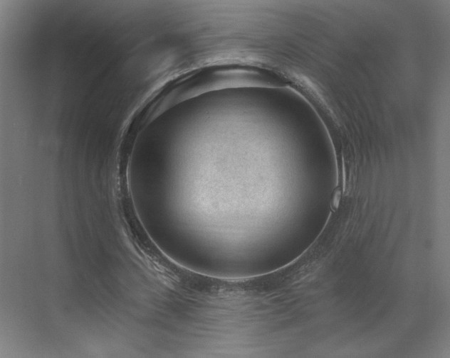 X0000071800531200606301203