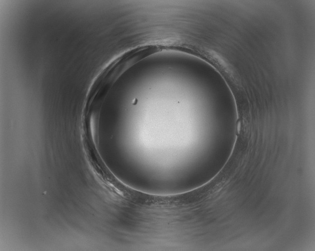 X0000071800532200606301203