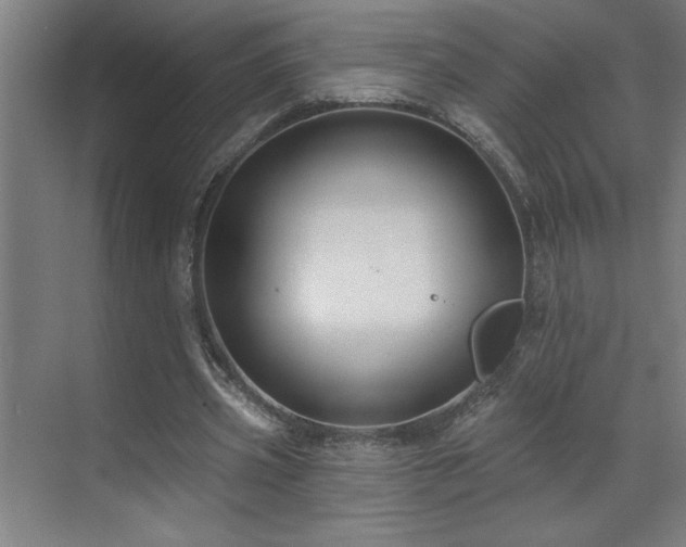 X0000071800533200606301203