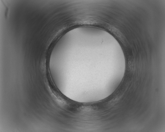 X0000071800534200606301203