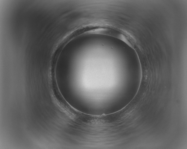 X0000071800535200606301203