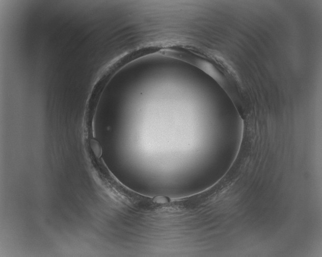 X0000071800536200606301203