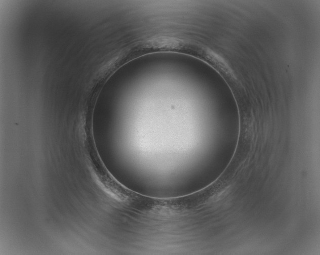 X0000071800538200606301203