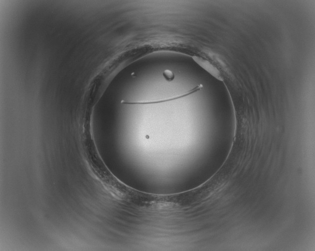 X0000071800539200606301203