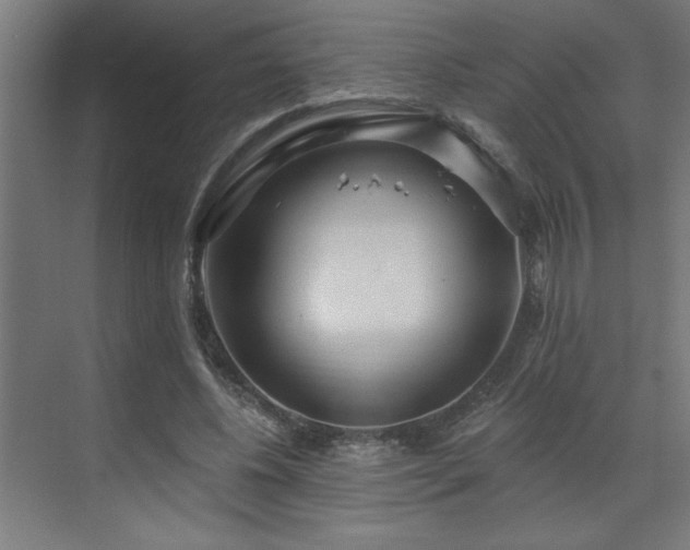 X0000071800540200606301203