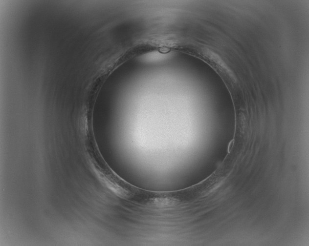 X0000071800541200606301203