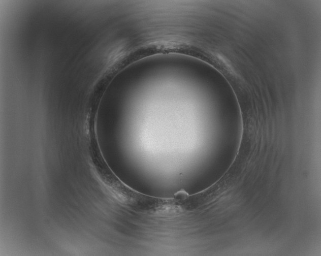 X0000071800543200606301204