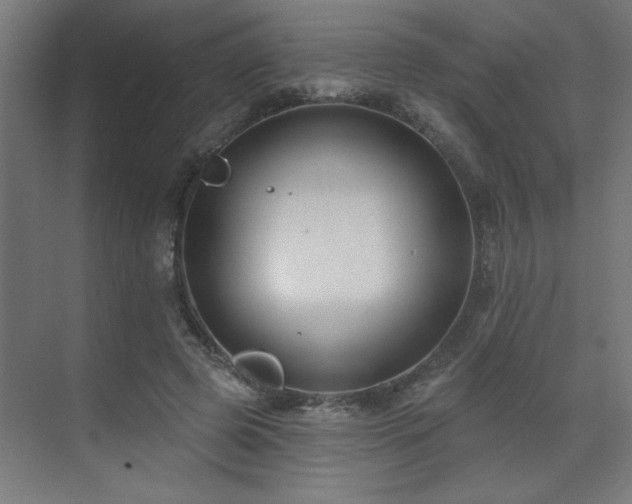 X0000071800545200606301204