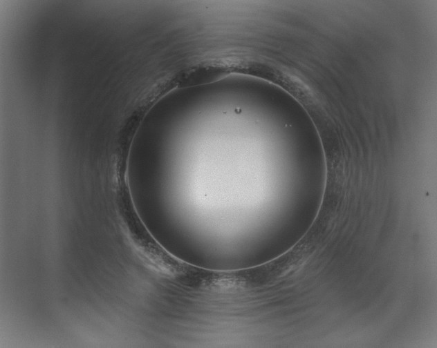 X0000071800546200606301204