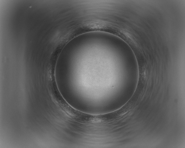 X0000071800547200606301204