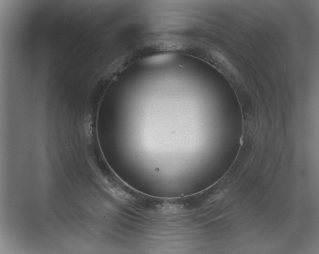 X0000071800549200606301204