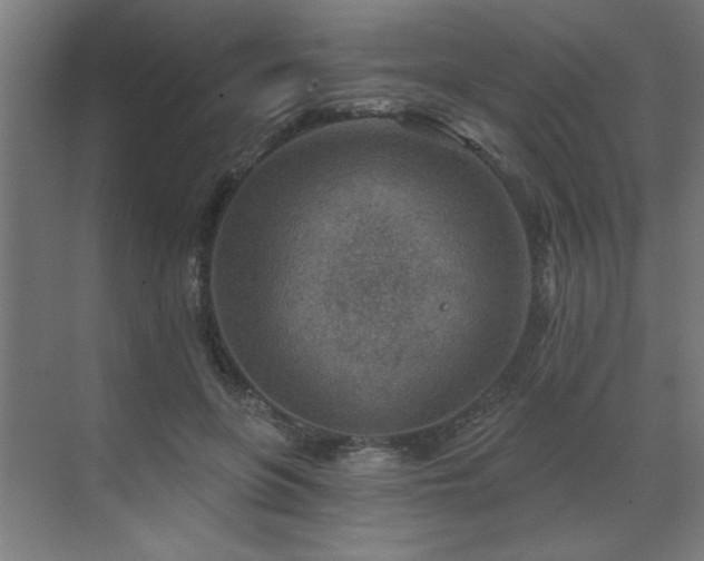 X0000071800551200606301204