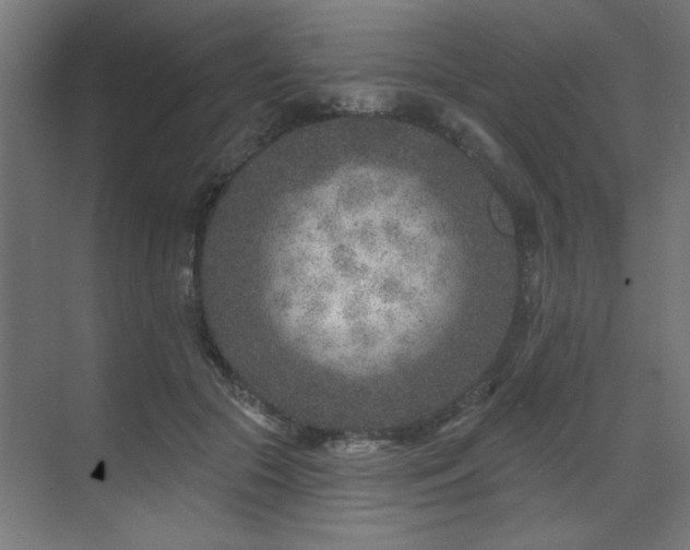 X0000071800553200606301204