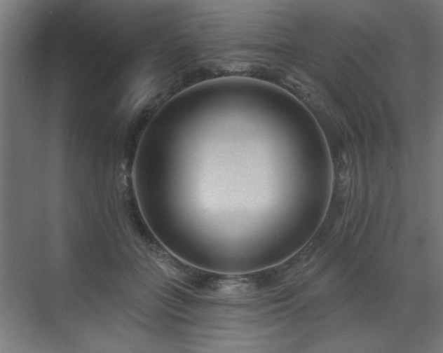 X0000071800555200606301204