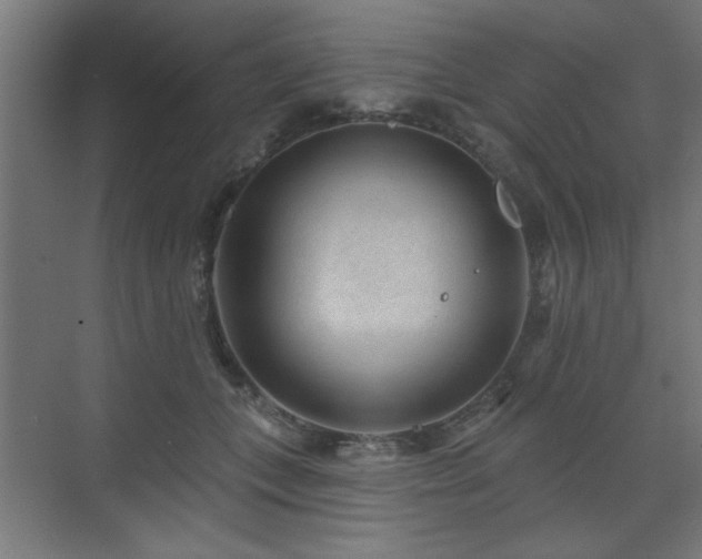 X0000071800559200606301204