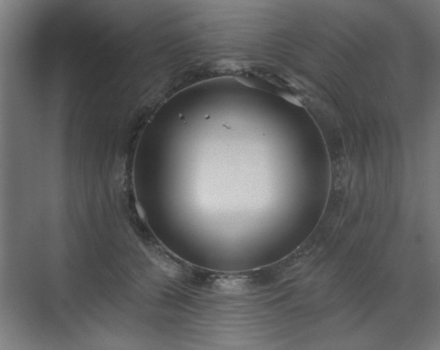 X0000071800560200606301204