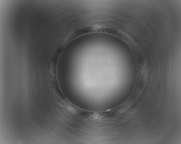 X0000071800565200606301204