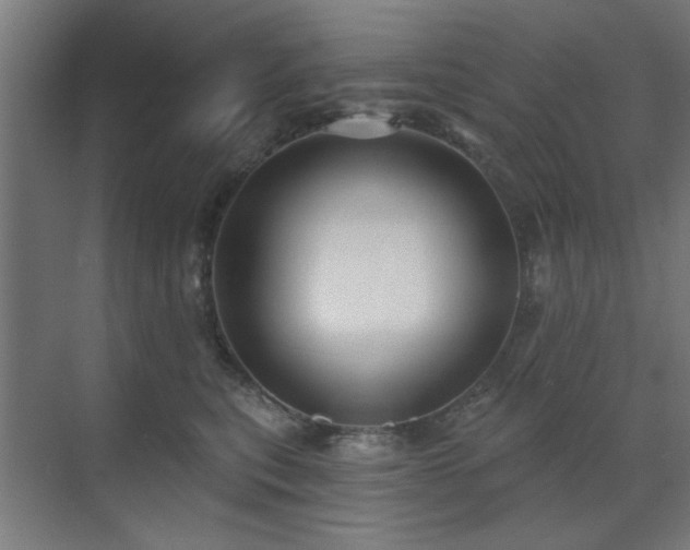 X0000071800567200606301204