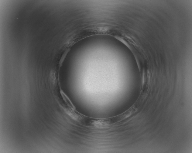 X0000071800568200606301204