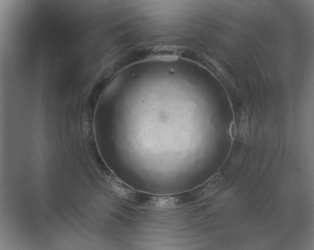 X0000071800569200606301204