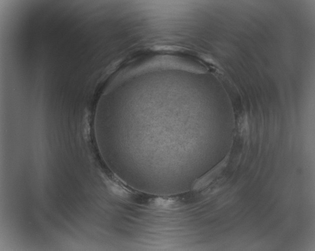 X0000071800570200606301204