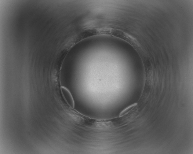 X0000071800571200606301204