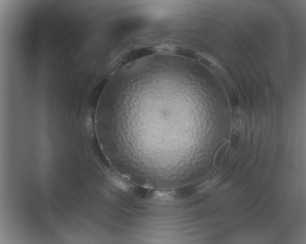 X0000071800573200606301204