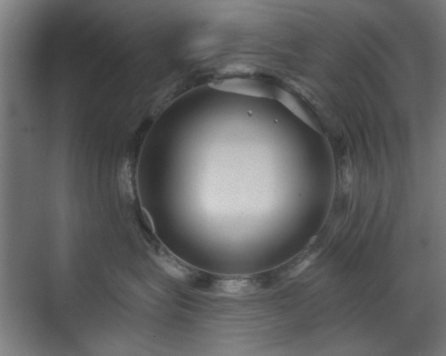 X0000071800575200606301204