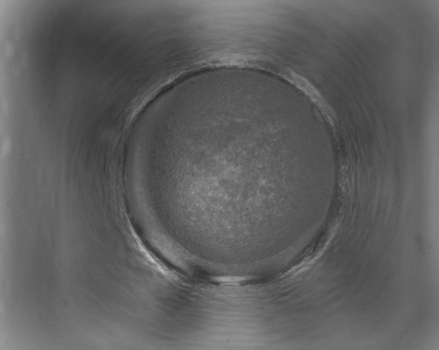 X0000071800577200606301203