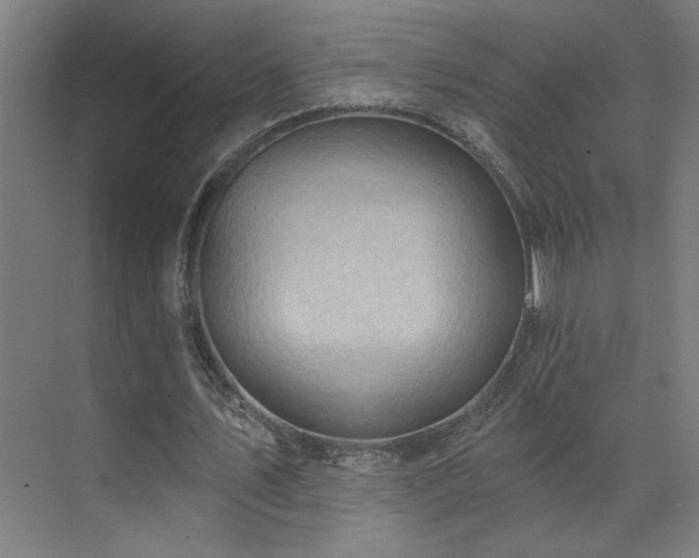 X0000071800579200606301203