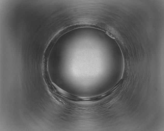 X0000071800580200606301203