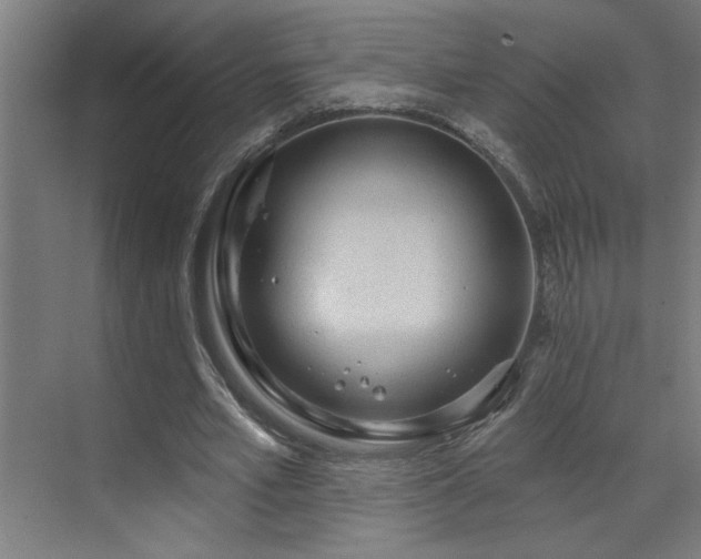 X0000071800581200606301203