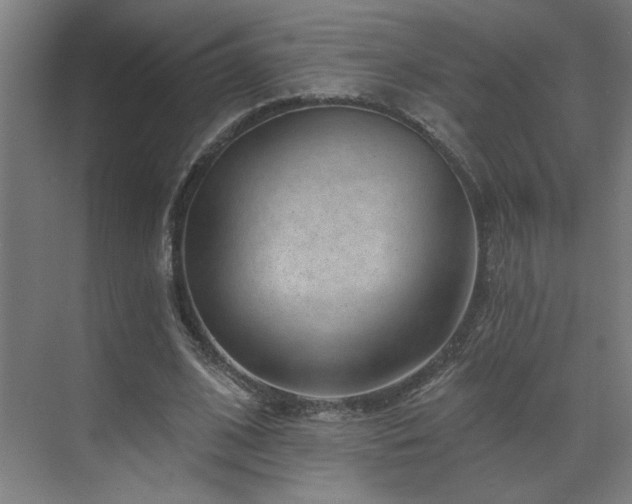 X0000071800584200606301203