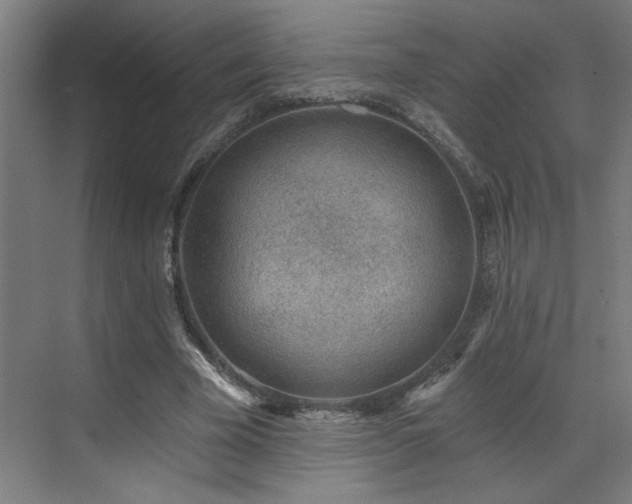 X0000071800585200606301203