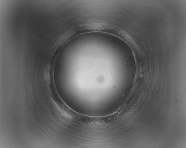 X0000071800586200606301203