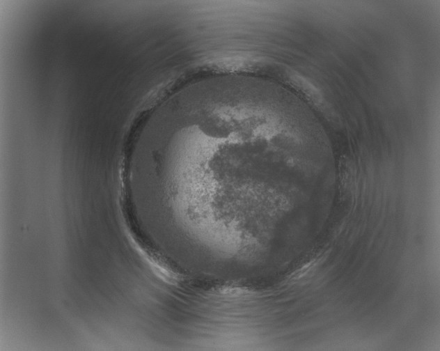 X0000071800590200606301203