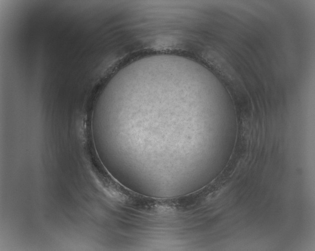 X0000071800592200606301203