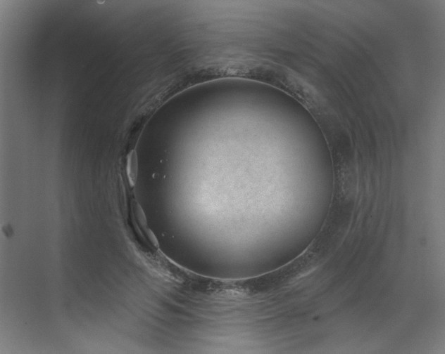 X0000071800594200606301203