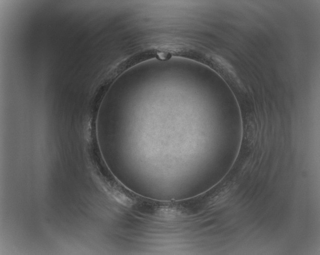 X0000071800596200606301203